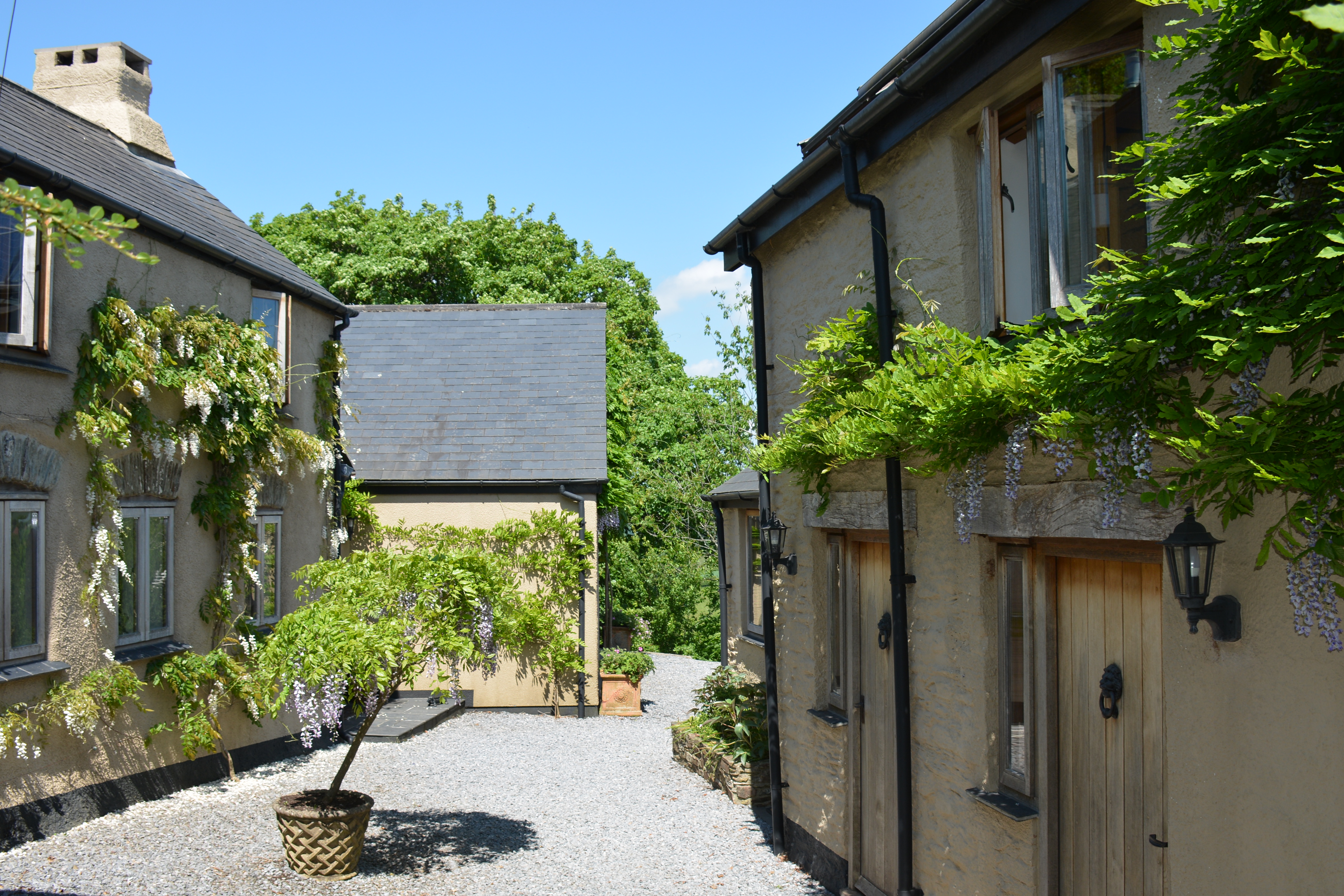 The Wisteria Courtyard